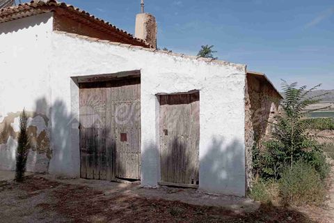 Finca i Yecla, Murcia, Yecla - € 350.000 | Ref: SF0507 - foto 10
